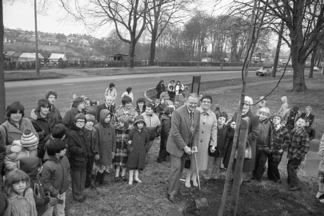 Preston's mayor, Coun Joe Pownall, took the first steps to reverse the damage caused by Dutch elm disease. And there to help him were children from nearby Elms and Moorfield schools. The two schools look on the Moor Park, which has borne the brunt of the damage caused by the disease. More than 100 trees throughout the town have succumbed to the killer fungus, and Lime trees are being put in their place. 