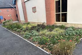 The school's new rain garden