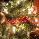 A study by Betway has named Preston as the sixth cheapest place to buy a Christmas trees in the UK