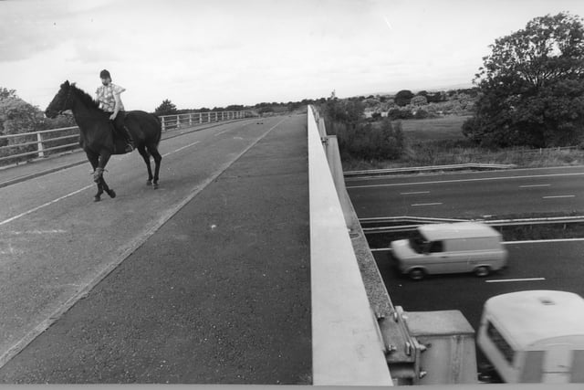 33 scenic pictures which sum up why Fulwood was the place to live in ...
