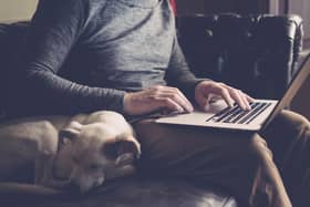 My dog is the best workmate I've ever had. Photo: Adobe