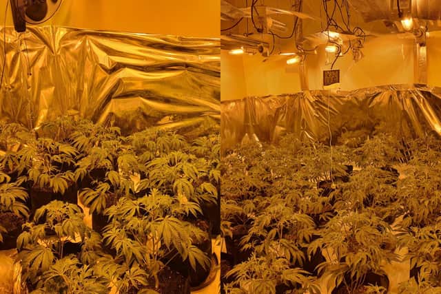 A cannabis farm was discovered inside a terraced house in the St Matthew’s area of Preston (Credit: Lancashire Police)