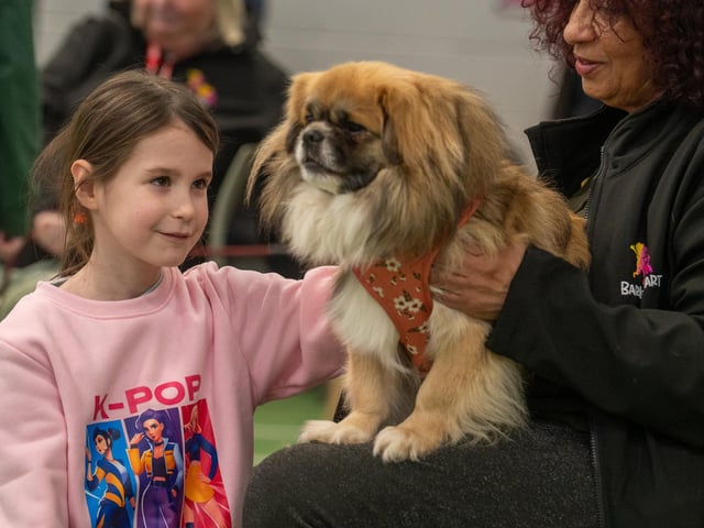 The workshop is aimed at children aged between 4-11 to educate them on safe interactions with dogs at Inspire Youth Zone, Chorley