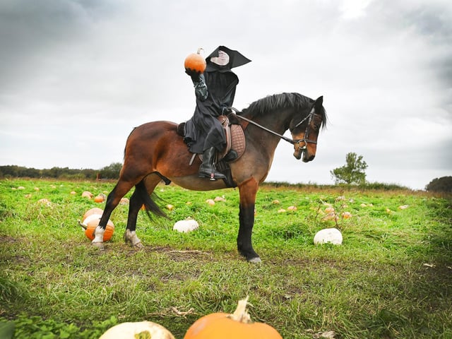 The Headless Horseman at Paul's Farm Pumpkin Patch, Leyland, as the team of volunteers are ready to host their third and final weekend of Halloween family fun.