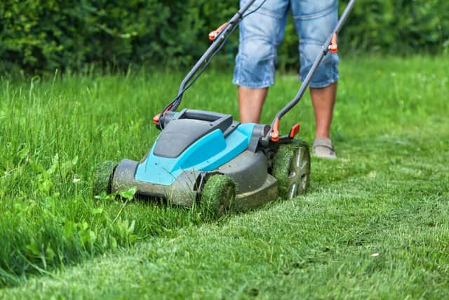 I love sitting in my freshly cut back garden. Photo: Adobe