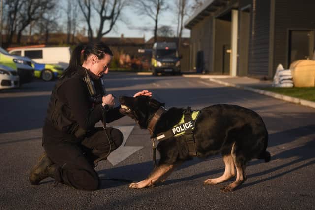 Lancashire Police dogs and handlers at HQ in Blackpool. Emma Mills with Juna.