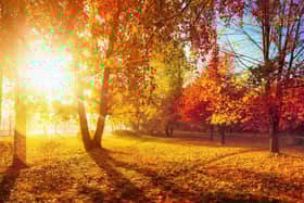 Preston will remain relatively dry next week but temperatures are set to drop