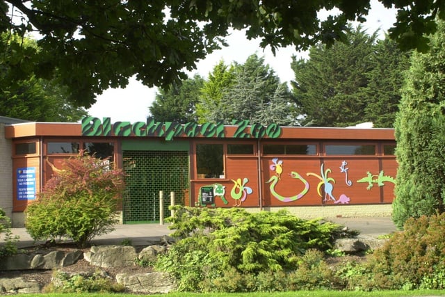 A new entrance to the zoo, different to the one today, was created in 1993. It included a larger shop which helped to increase customer spending. Steven Stanley was also appointed manager of the zoo during that year having previously managing Cricket St Thomas Zoo.  Steven Leonard of BBC TV’s Vets in Practice fame opened the new entrance.