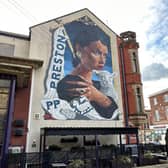 The 'Mother' took up residence over the summer - but will she still be here to see winter? (image via Preston City Council planning portal)