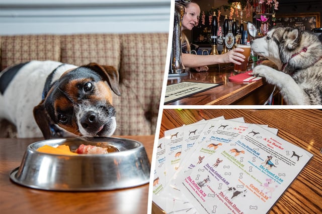 The Bellflower holds the title for best pub for dogs in the UK, could it hold on for another year?