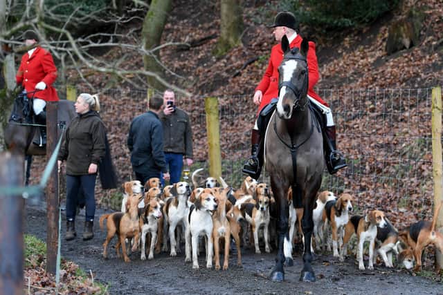 The public were invited to witness the traditional Holcombe Harriers Boxing Day parade, who set off from The Railway Hotel in Pleasington and then performed a demonstration of trail laying near the River Darwen