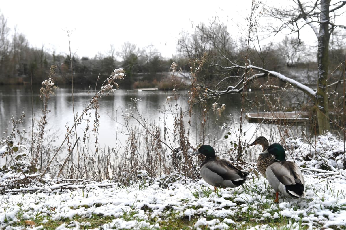 Yellow weather warning for ice issued as temperatures set to plunge following overnight snowfall
