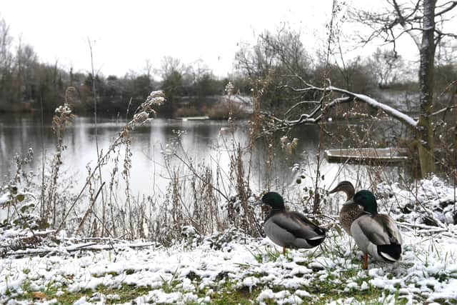 A new yellow weather warning for ice has been issued by the Met Office (Credit: Neil Cross)