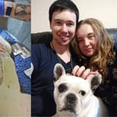 8-year-old French Bulldog Bruce was found dumped in Preston with horrific scalding burns across his back.