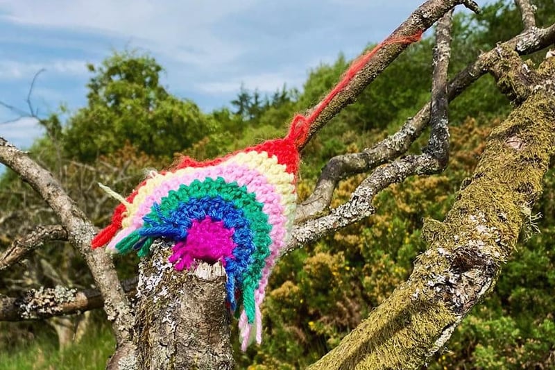 Elaine Mitchell Craig took this picture of rainbow ‘yarn bombing’ in the woods on the Battle of Falkirkmuir Trail, near Falkirk.