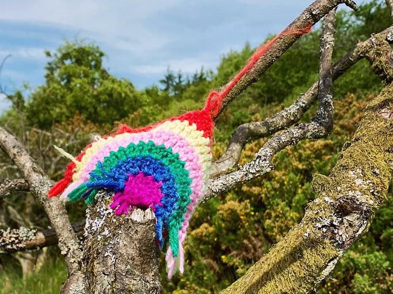 Elaine Mitchell Craig took this picture of rainbow ‘yarn bombing’ in the woods on the Battle of Falkirkmuir Trail, near Falkirk.
