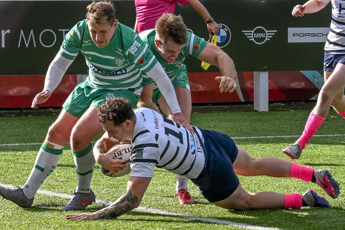 Preston Grasshoppers 50 Billingham 15: Seven-try romp for hosts