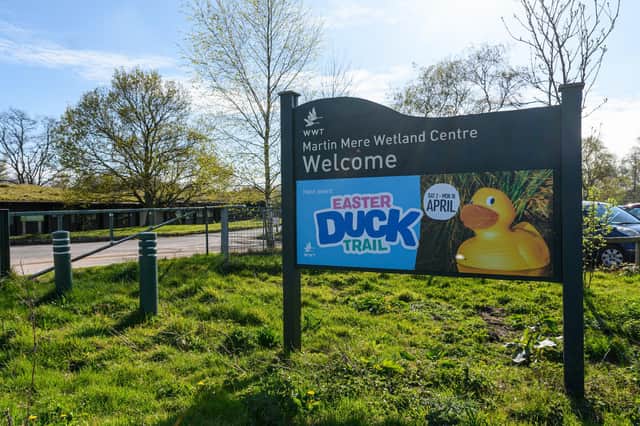 Come and have a quacking time at Martin Mere's Easter Duck Trail