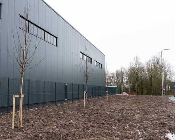The spindly saplings planted on Eastway - pictured here in February 2024 - will take around 30 years to look anything like the mature specimens they replaced