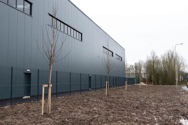 The spindly saplings planted on Eastway - pictured here in February 2024 - will take around 30 years to look anything like the mature specimens they replaced
