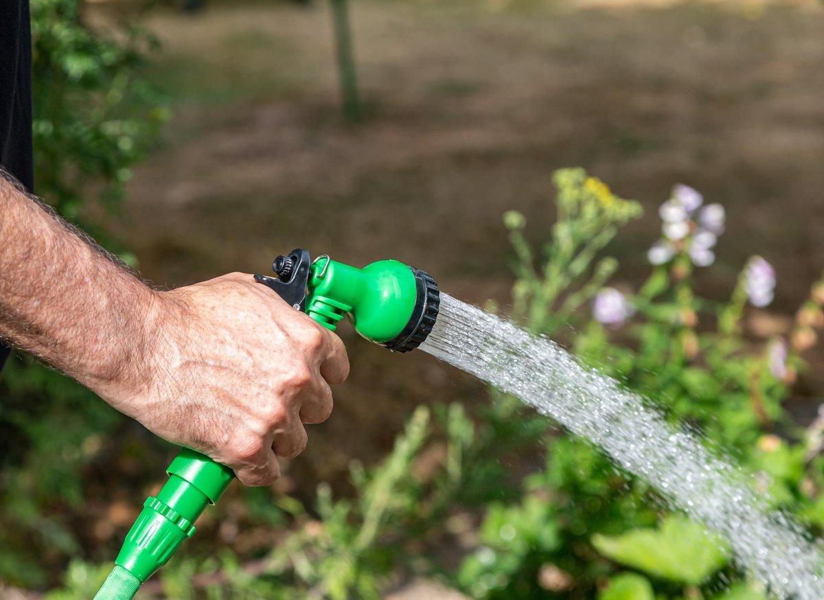 Will Lancashire see a hosepipe ban as August begins to hot up? Here's everything you need to know