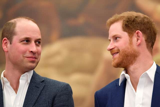 The then Duke of Cambridge and the Duke of Sussex (right) at the opening the Greenhouse Centre in London. The Duke of Sussex has reportedly claimed he was physically attacked by his brother over his marriage to Meghan Markle