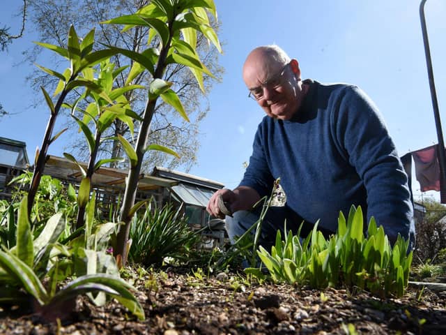 Hardy orchid seller Jeff Hutchings has closed his Laneside Hardy Orchids business  Photo: Neil Cross