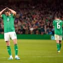 Alan Browne reacts to a missed chance against France