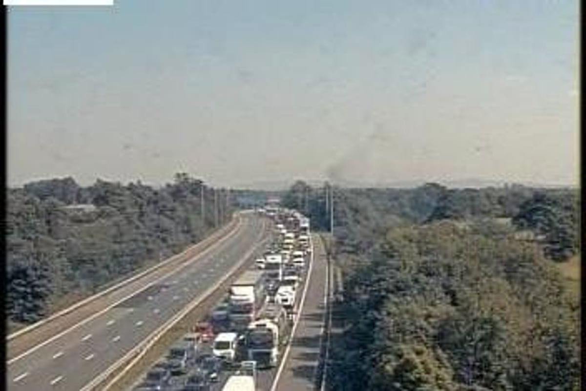 M6 chaos after vehicle transporting sheep overturns following crash between Preston and Lancaster
