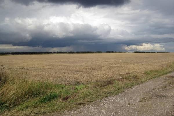 Warm weather this weekend could be spoiled by thunderstorms in some areas, the Met Office has said (Credit: David Wright)