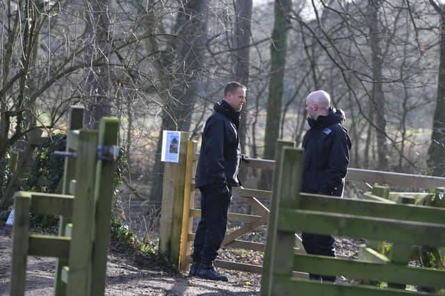 A major search was launched for a woman who went missing while walking her dog.