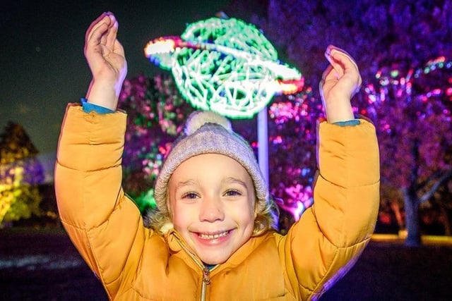 The annual Astley Illuminated event at Astley Hall, Astley Park, Chorley, returned last Friday (November 10) with a Sci-Fi theme
