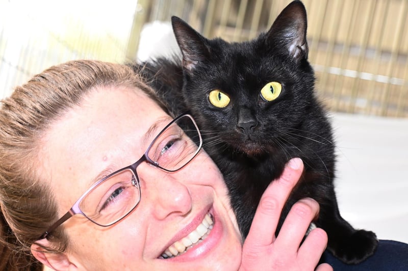 Ashleigh with one-year-old cat Hannah who is waiting patiently for her home. She is described as super affectionate and loves to be around people all the time
