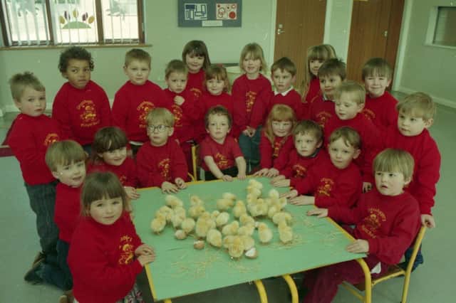 Children at the Grasshoppers Play School in Preston were full of the joys of spring when a bundle of fluffy chicks arrived for the day. The independent nursery at Lea Methodist Church got the box of chicks from a local farmer to teach the children about nature