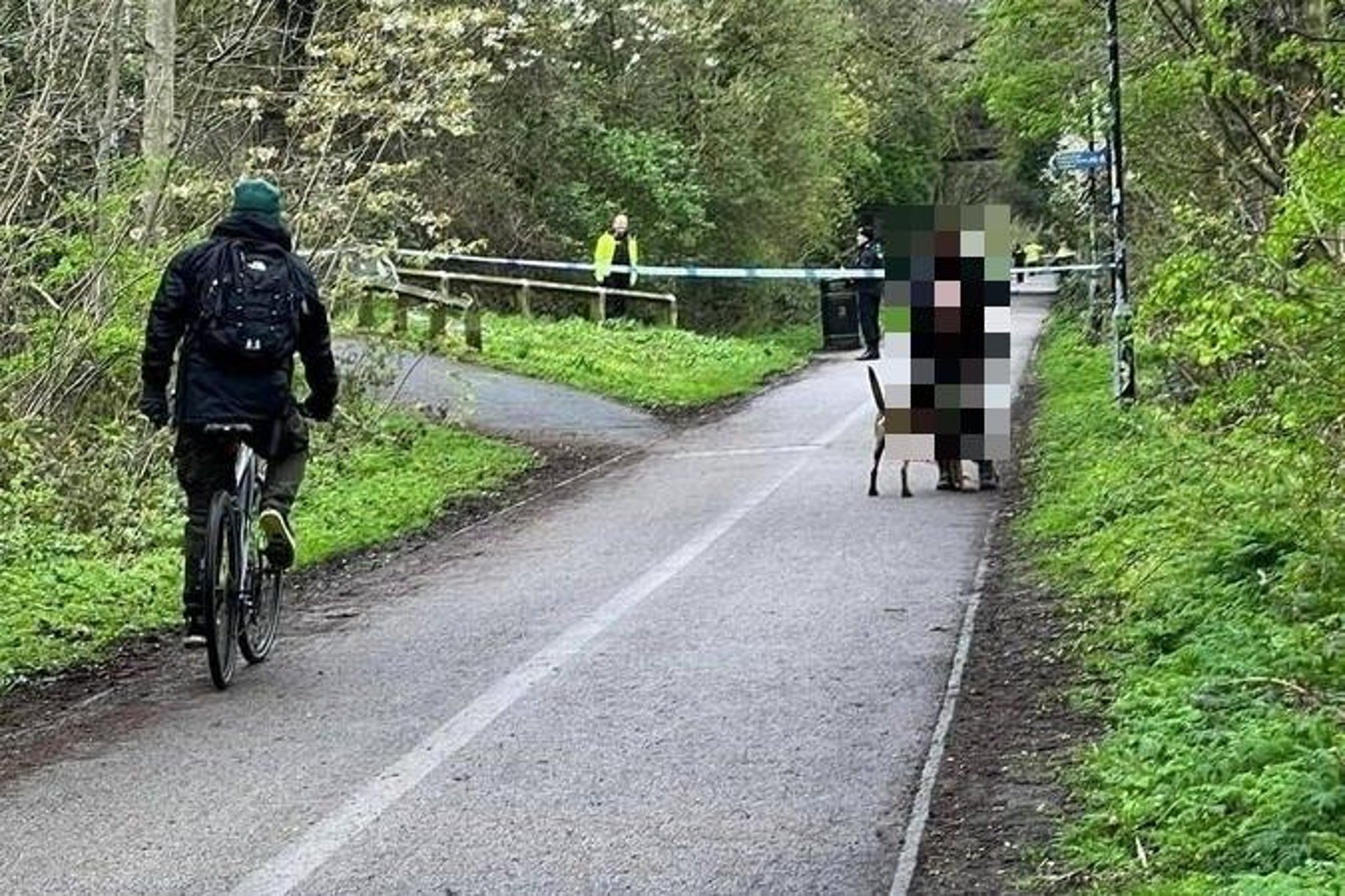 Woman assaulted on cycle path remains in a serious condition as police arrest suspect