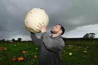 What a big pumpkin!