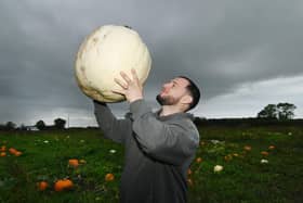 What a big pumpkin!