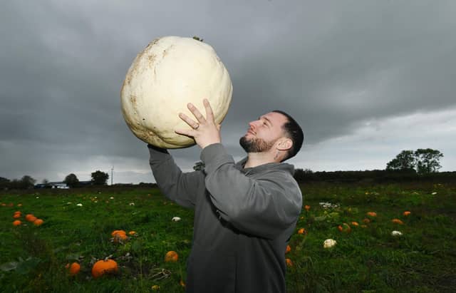 What a big pumpkin!