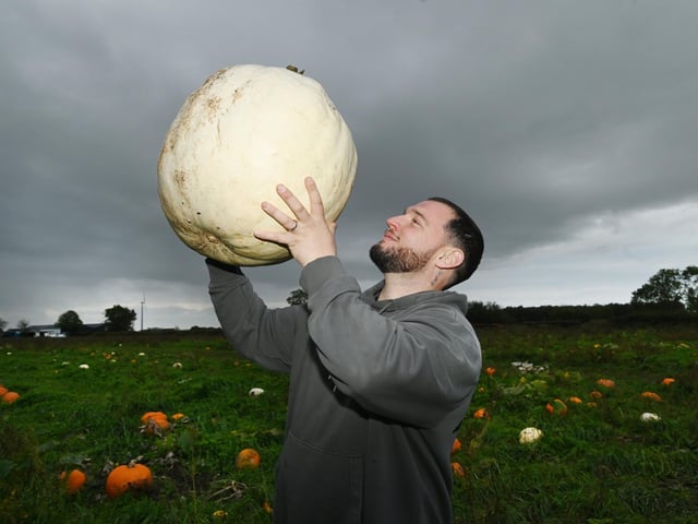 What a big pumpkin!