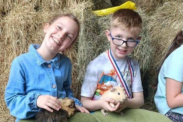 Young visitors enjoying a hands-on pet husbandry lesson courtesy of Emma’s Mini Farm at the open day and dog show at Whalley Corn Mills