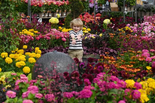 An image from the 2025 Chorley Flower Show.