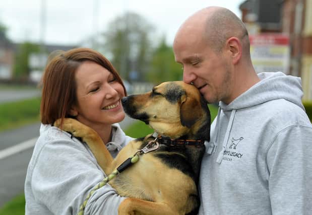 Phil and Nikki Berry with their Romanian rescue dog Maia. The couple from Buckshaw Village are pleading for the UK government’s recent ban on importing rescue dogs from Europe to be reversed.