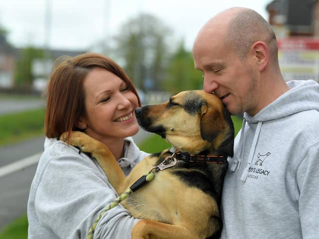 Phil and Nikki Berry with their Romanian rescue dog Maia. The couple from Buckshaw Village are pleading for the UK government’s recent ban on importing rescue dogs from Europe to be reversed.