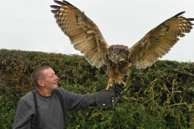 A variety of creatures could be admired at the 14th annual Fylde Vintage and Farm Show.