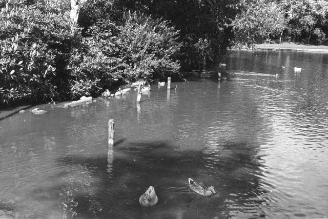 This picture from 1969 shows the same area of lake as the 1941 image - this time however, the footpath on the left is completely submerged and overgrown with shrubs and trees