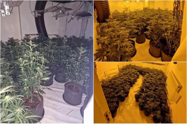 400 cannabis plants were seized from a property during a drugs raid in Ormskirk (Credit: Lancashire Police)