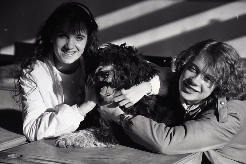 It may not have been Crufts, but Leyland Wellfield High School's pet show was a howling success. Everything from dogs and cats to mice and parrots took centre stage in a show organised by fourth formers Anne-Marie Nash and Tracey Ireland, who are pictured above with Ben