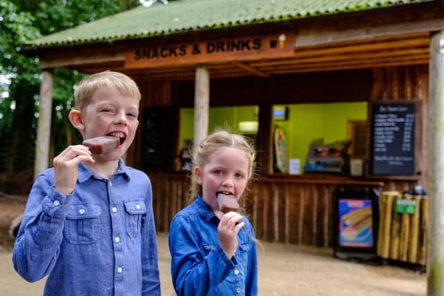 Families visiting on the day can also enjoy pond dipping sessions from 1:30 - 3pm and discover creatures that live in their ponds such as pond snails, water louse, diving beetles, and newts.