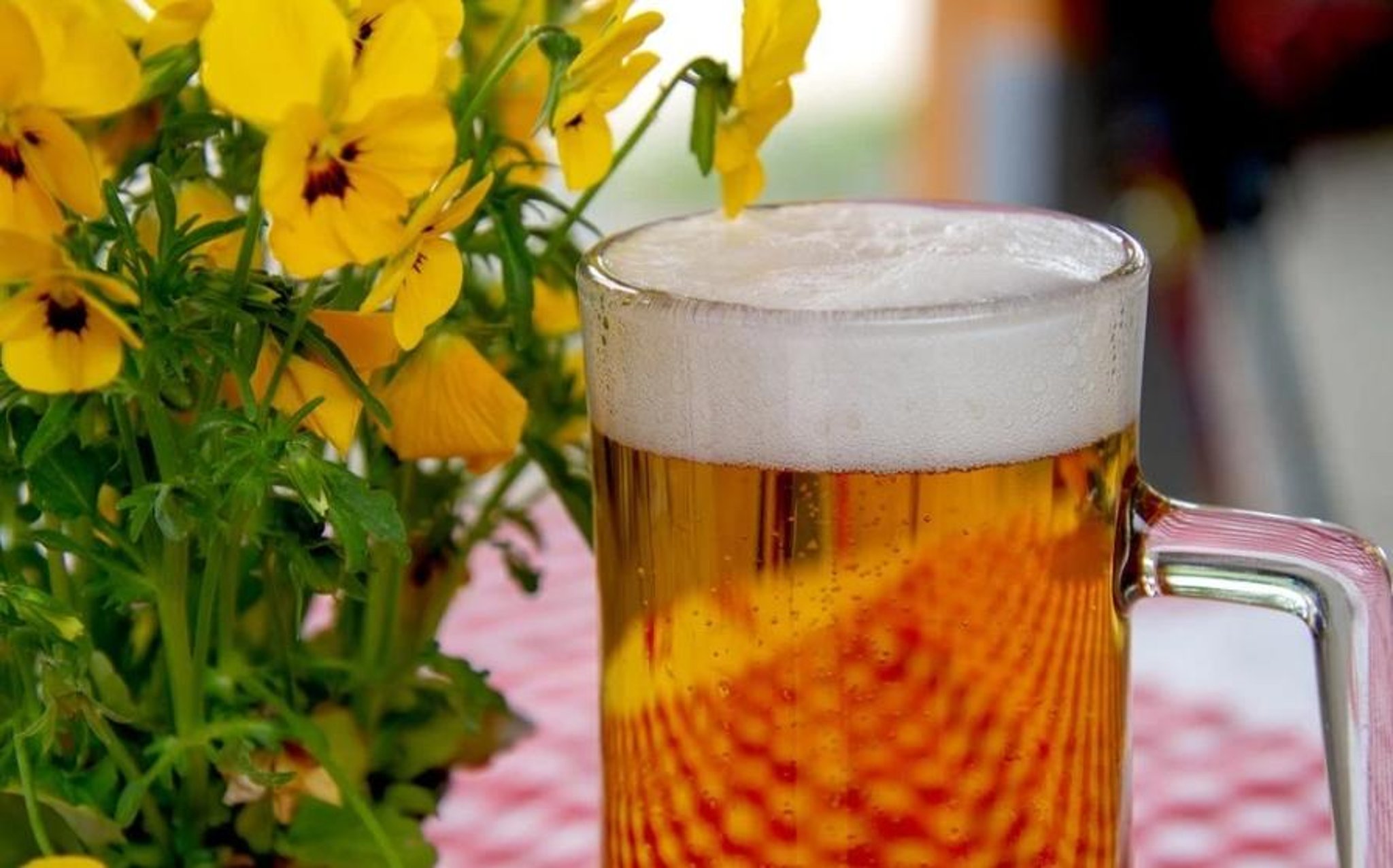 Spring is in the air! Here are nine great walks around Lancashire with a refreshing pub stop thrown in for good measure