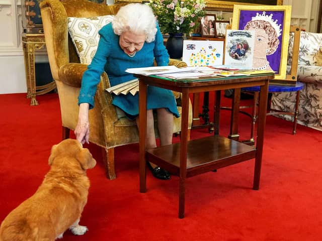 What will happen to the Queen's corgis? (photo: Getty Images)